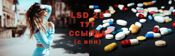 сатива Новодвинск