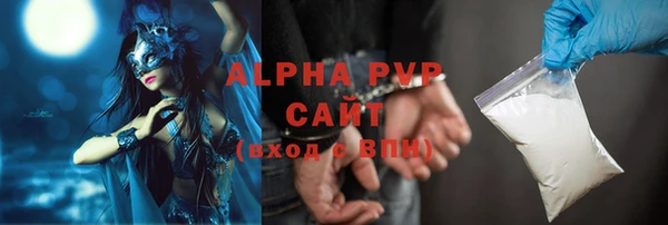 сатива Новодвинск