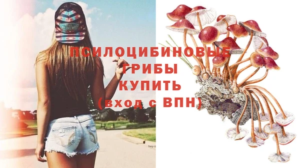 СК Алзамай